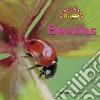Beetles libro str