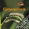 Caterpillars libro str