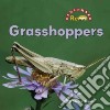 Grasshoppers libro str