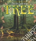 The Life Cycle of a Tree