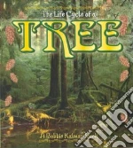 The Life Cycle of a Tree