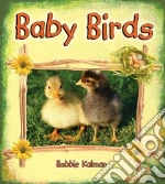 Baby Birds