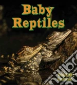 Baby Reptiles