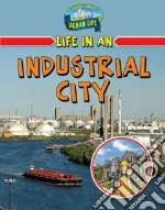 Life in an Industrial City