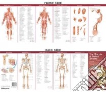 The Muscular & Skeletal Systems libro in lingua di Anatomical Chart Company (COR)