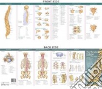 The Vertebral Column & Spine Disorders libro in lingua di Anatomical Chart Company (COR)