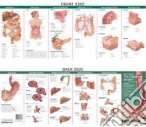 Anatomy & Disorders of the Digestive System Study Guide libro in lingua di Anatomical Chart Company (COR)