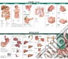 Anatomy & Disorders of the Digestive System Study Guide libro str