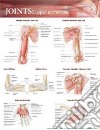Joints: Upper Extremities Anatomical Chart libro str