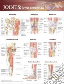 Joints of the Lower Extremities Anatomical Chart libro in lingua di Anatomical Chart Company