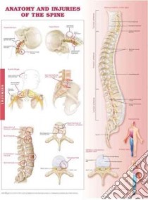 Anatomy and Injuries of the Spine Anatomical Chart libro in lingua di Anatomical Chart Company (COR)