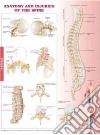 Anatomy and Injuries of the Spine Anatomical Chart libro str
