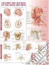 Anatomy and Injuries of the Head and Neck Anatomical Chart libro str