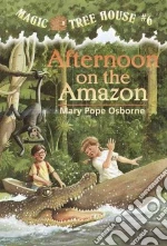Afternoon on the Amazon