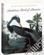 Audubon's Birds of America