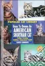 American Shorthair Cat