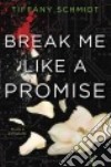 Break Me Like a Promise libro str