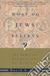 What Do Jews Believe? libro str