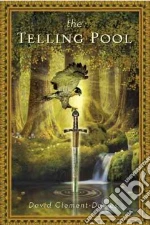 The Telling Pool