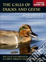 The Calls Of Ducks And Geese