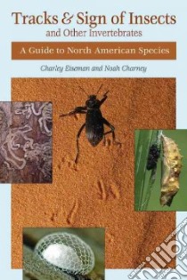 Tracks & Sign of Insects & Other Invertebrates libro in lingua di Eiseman Charley, Charney Noah, Carlson John (CON)
