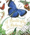 A Butterfly Is Patient libro str