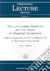 The Q,T-Catalan Numbers and the Space of Diagonal Harmonics libro str