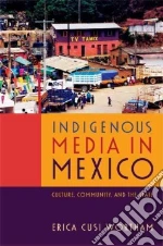 Indigenous Media in Mexico