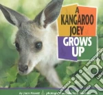 A Kangaroo Joey Grows Up