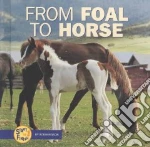 From Foal to Horse