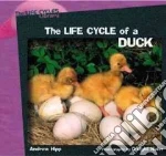 The Life Cycle of a Duck