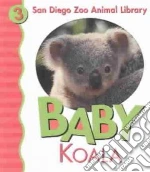 Baby Koala
