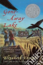 Gone-Away Lake
