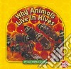 Why Animals Live in Hives libro str