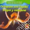 Octopuses and Squids/Pulpos Y Calamares libro str