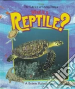 What Is a Reptile?