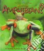 What Is an Amphibian?