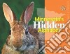 Minnesota's Hidden Alphabet libro str