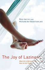 The Joy of Laziness