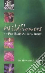 Wildflowers of the Pine Barrens of New Jersey