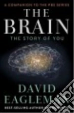 The Brain
