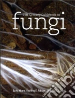 21st Century Guidebook to Fungi
