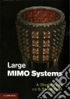 Large Mimo Systems libro str