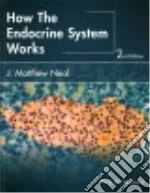 How the Endocrine System Works