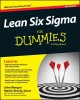 Lean Six Sigma for Dummies libro str