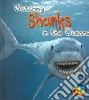Watching Sharks in the Oceans libro str