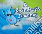 A Raindrop's Journey