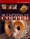 Sculpting in Copper libro str