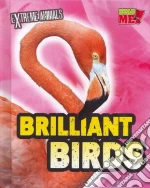Brilliant Birds
