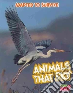 Animals That Fly